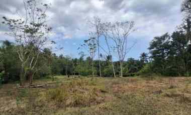 Jual Tanah Kebun Murah dekat Pantai Soka Tabanan