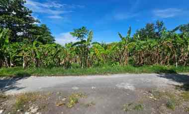 Jual Tanah Komersial di Berawa Canggu Bali