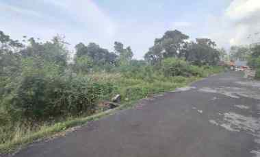 Jual Tanah Kosong Luas di Banyuning Buleleng Strategis