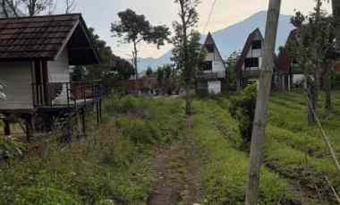 jual tanah kosongan di sembalun