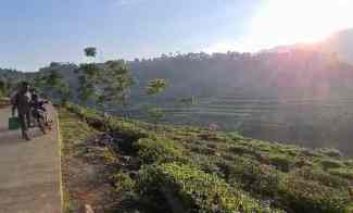 Jual Tanah Cocok untuk Villa di Bandung Barat View Gunung