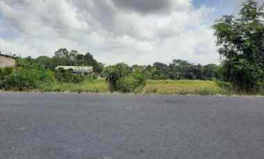 Jual Tanah Luas 39 are Jalan Utama Munggu Badung Bali