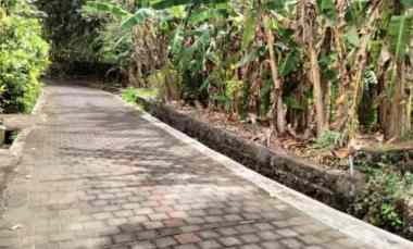 Jual Tanah Luas di Jalan Raya Tanah Lot Tabanan Bali
