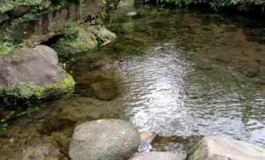 Jual Tanah Mata Air Subang