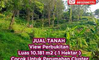 Jual Tanah Bukit 1 Hektar di Pudak Payung Semarang