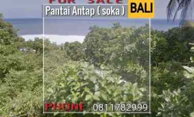 Jual Tanah Murah dekat Pantai Soka Tabanan