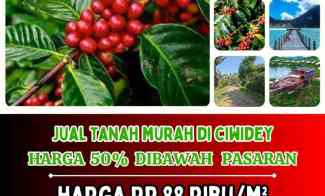 Jual Tanah Murah di Ciwidey