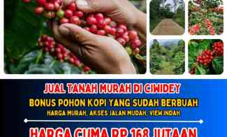 Jual Tanah Murah di Ciwidey