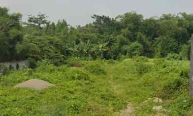 jual tanah murah di pusat kota serang