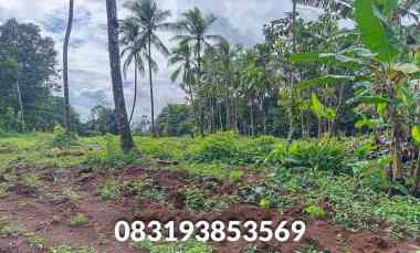 jual tanah murah pandeglang banten