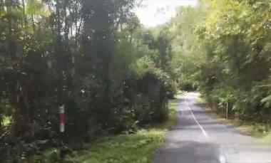 Jual Tanah Murah View Hutan dan Sungai Ayung