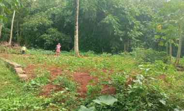 Jual Tanah Curug Serang