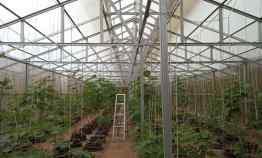 Jual Tanah Pertanian dan Green House di Cilegon