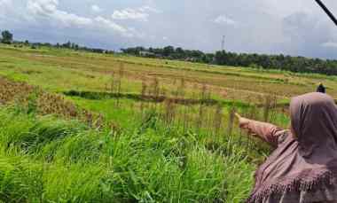 Tanah Dijual di Jl Wates