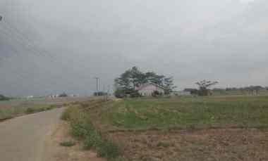 jual tanah sawah produktif
