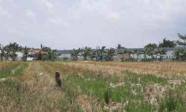 Jual Tanah SHM Batang Kuis dekat Bandara Kuala Namu