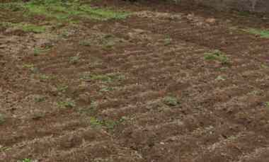 Tanah Dijual di Jl. Neglasari, Sayang Kec, Jatinangor, Sumedang
