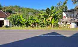 Jual Tanah Strategis Buka Usaha Karangpandan