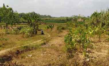 Jual Tanah Strategis di Desa Langen Harjo Sukoharjo