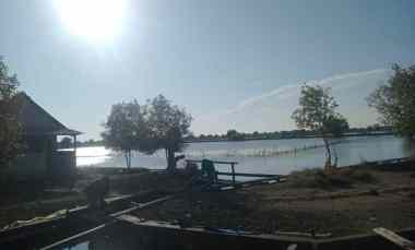 Jual Tanah Tambak Bandeng dan Udang