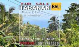 Jual Tanah View Pantai Pinggir Jalan Surabrata