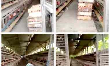 Tanah Dijual di Karanganyar