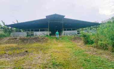 Tanah Dijual di Jln desa Cariu kab. Bogor timur