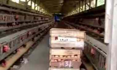 Tanah Dijual di Sukoharjo