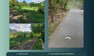 Tanah Dijual di Gayam harjo