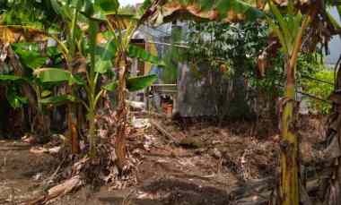kavling dijual shm rowosari tembalang