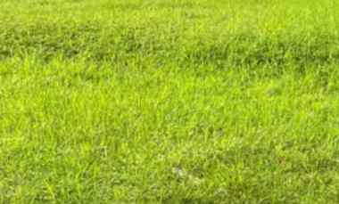 Kavling Graha Natura Lebar 16, Hadap Barat