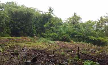 Kavling jl. Wates km.20 Arah Bandara YIA Kulon Progo