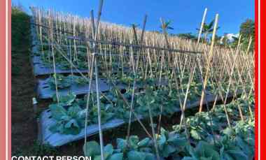 Tanah Dijual di Padalarang, Bandung