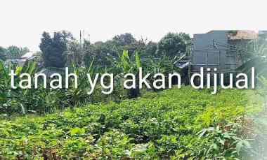 Tanah Dijual di Gg. H. Ali Bulak Timur Cipayung Depok
