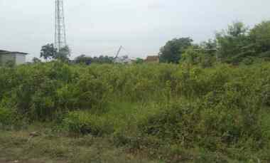 Kavling Strategis dekat Pasar dan Jalan Pantura Patrol