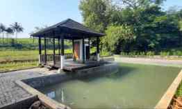 Kavling Villa Bonus Kolam Ikan Bibit Ikan Lele