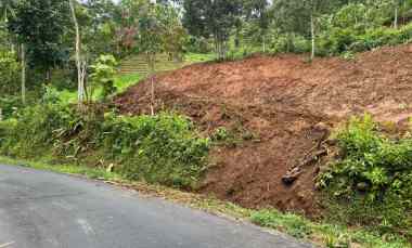 Kebun Alpukat 1200m Jalan DPU Ngargoyoso