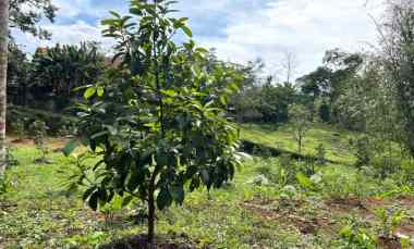 Tanah Dijual di Kerjo, Karanganyar