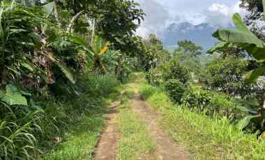 Kebun Durian 1237m Kawasan Wisata Kemuning, Karanganyar