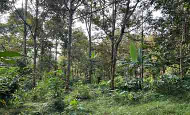 Tanah Dijual di Kerjo, Karanganyar