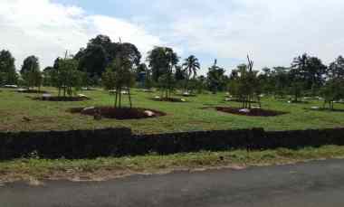 Tanah Dijual di Subang