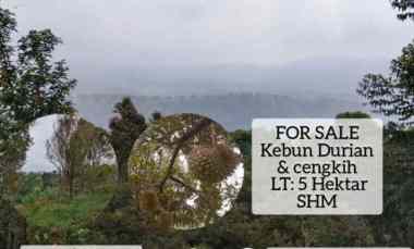 Kebun Durian dan Cengkih, Jalan Cagak Subang