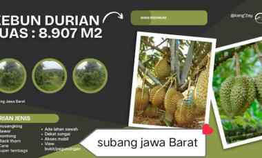 Tanah Dijual di Subang