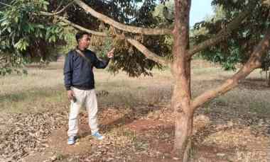 Tanah Dijual di Subang