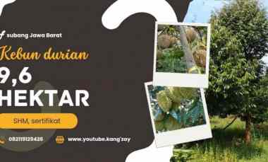 Tanah Dijual di Subang