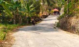 Kebun Durian Produktif Ngargoyoso, Karanganyar