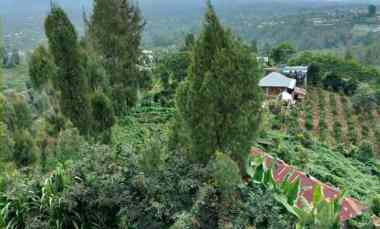 Tanah Dijual di Kintamani, Bangli, Bali