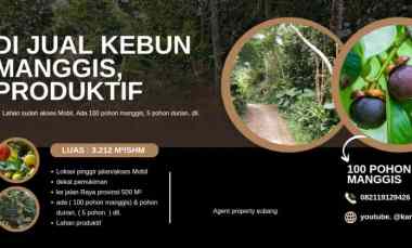 Tanah Dijual di Subang