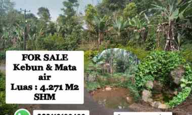 Kebun Mata Air, Serang Panjang Subang Jawa Barat