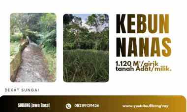 Tanah Dijual di SUBANG